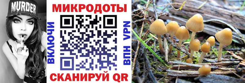 закладка  Переславль-Залесский  kraken tor  Галлюциногенные грибы MAGIC MUSHROOMS 